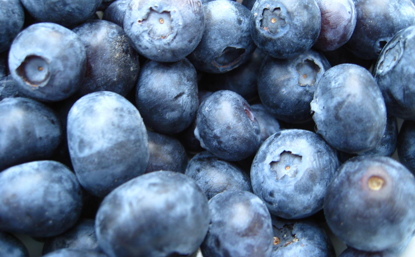 Eat Your Way To Digestive Health 5 Foods That Aid Digestion