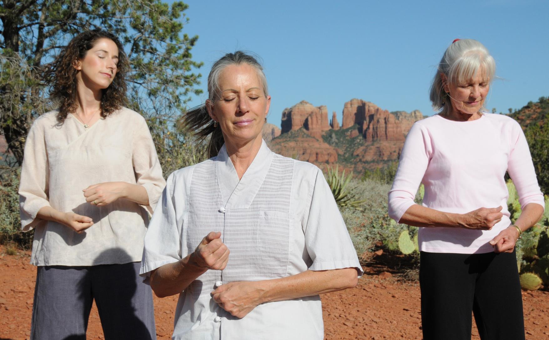 What Is Brain Wave Vibration Meditation