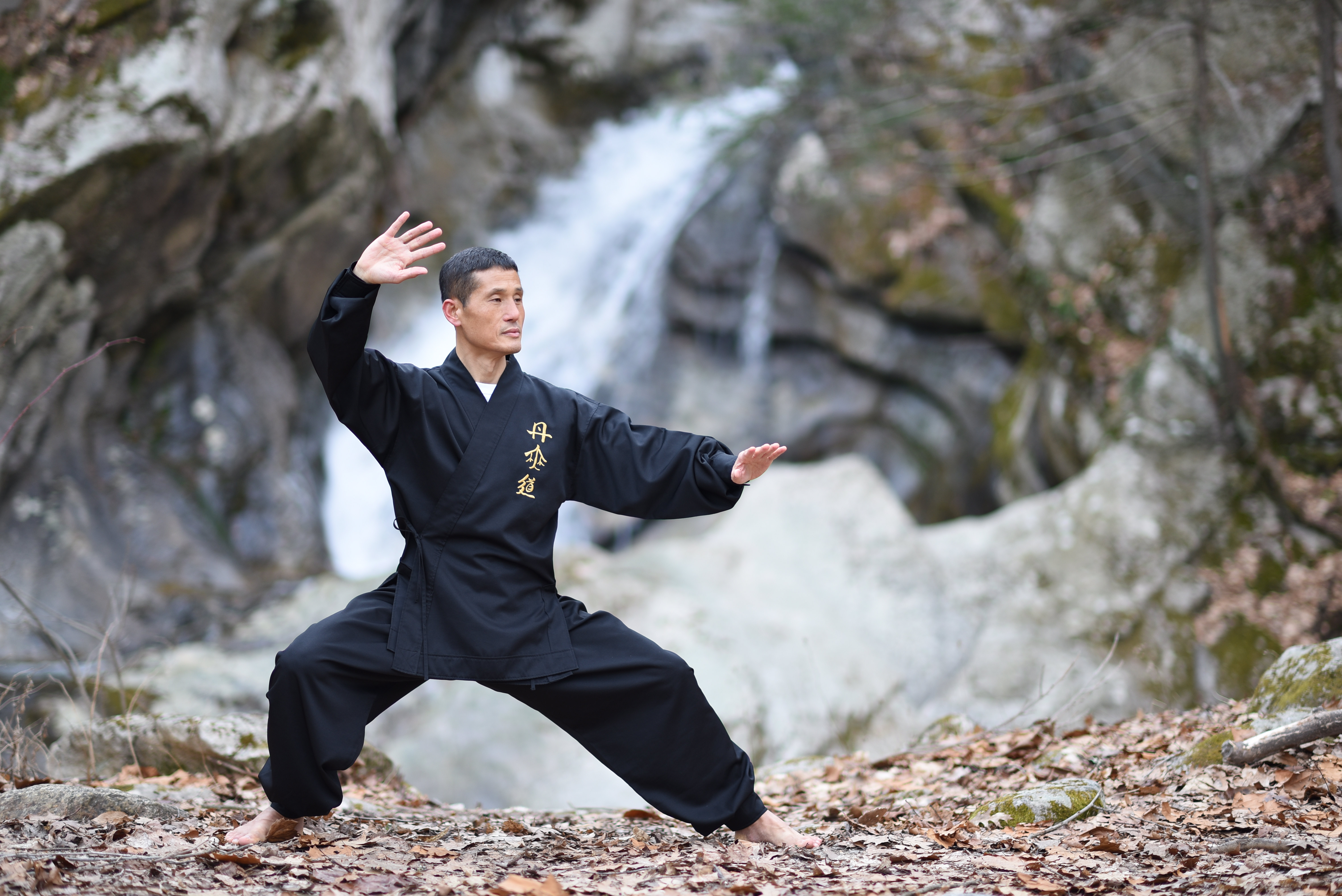 Master Instructor Yoo guiding tai chi